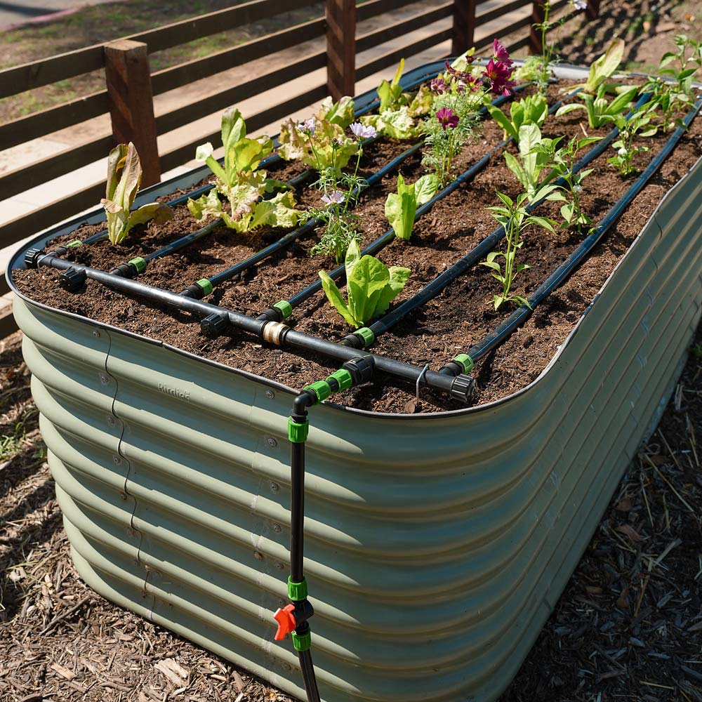 Raised garden bed with plants and epic gardening irrigation system