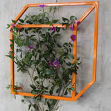 Bright orange cubic metal Pablo Wall Trellis mounted on a gray concrete wall with a climbing flowering vine