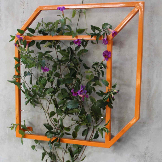 Bright orange cubic metal Pablo Wall Trellis mounted on a gray concrete wall with a climbing flowering vine