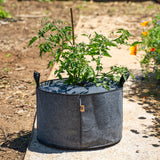 Tomato plant supported by a wooden stake, growing through a single-hole fabric cover on top of a dark gray felt grow bag placed outdoors.