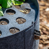 Close-up of a multi-hole Plantable Fabric Cover on a felt grow bag outdoors.
