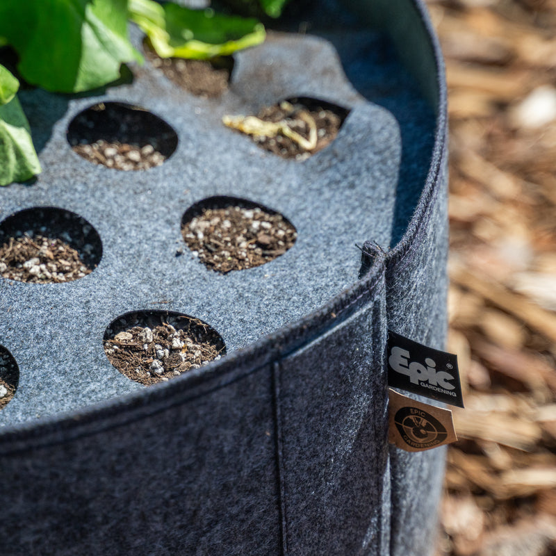 Close-up of a multi-hole Plantable Fabric Cover on a felt grow bag outdoors.