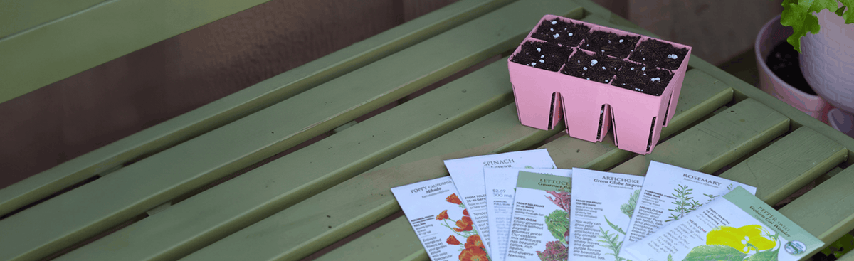 Pink 6-cell seed starting tray with seedlings beside seed packets