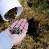 Close-up of an open palm holding cover crop seeds next to a tipped white seed shaker tube over straw mulch ground.