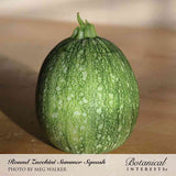 A single round zucchini summer squash with a mottled pale and dark green marbled skin sits on a wooden surface, labelled 