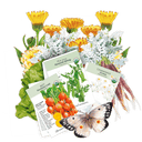 Gardening-themed items including seed packets, plants, and a butterfly on a green background