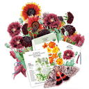 Collection of flower seeds packets included in the The Heavy Metal Garden bundle with illustrations and a butterfly on a green background