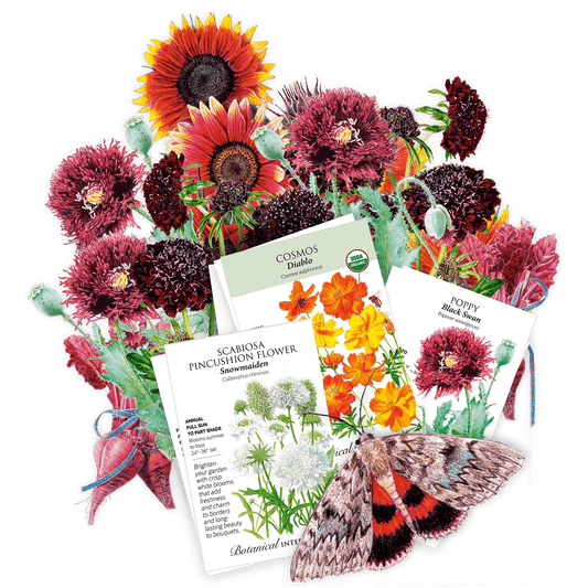 Collection of flower seeds packets included in the The Heavy Metal Garden bundle with illustrations and a butterfly on a green background