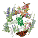 Herb packets included in the The Witches Patch with illustrations and butterfly designs 