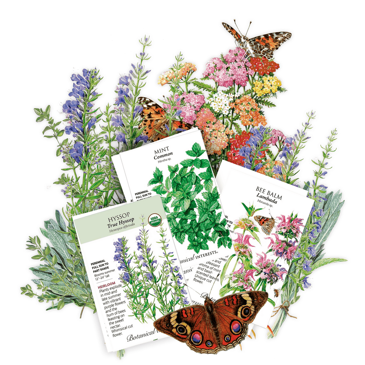 Herb packets included in the The Witches Patch with illustrations and butterfly designs 