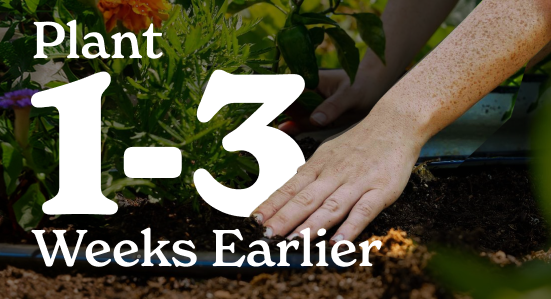 Healthier soil for earlier planting