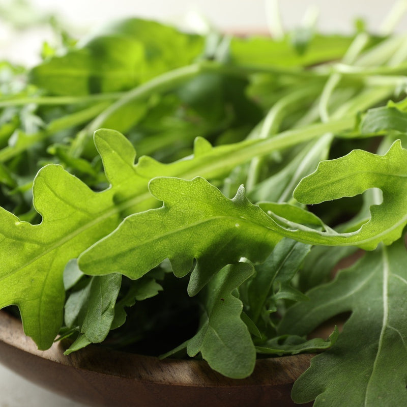 Close-up view of fresh green arugula leaves with jagged, lobed edges in a wooden bowl, for Arugula/Rocket Seeds.
