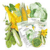 Illustration of various vegetables with seed packets on a white background