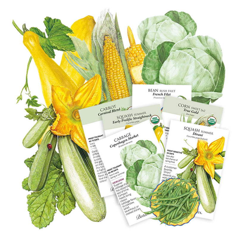 Illustration of various vegetables with seed packets on a white background