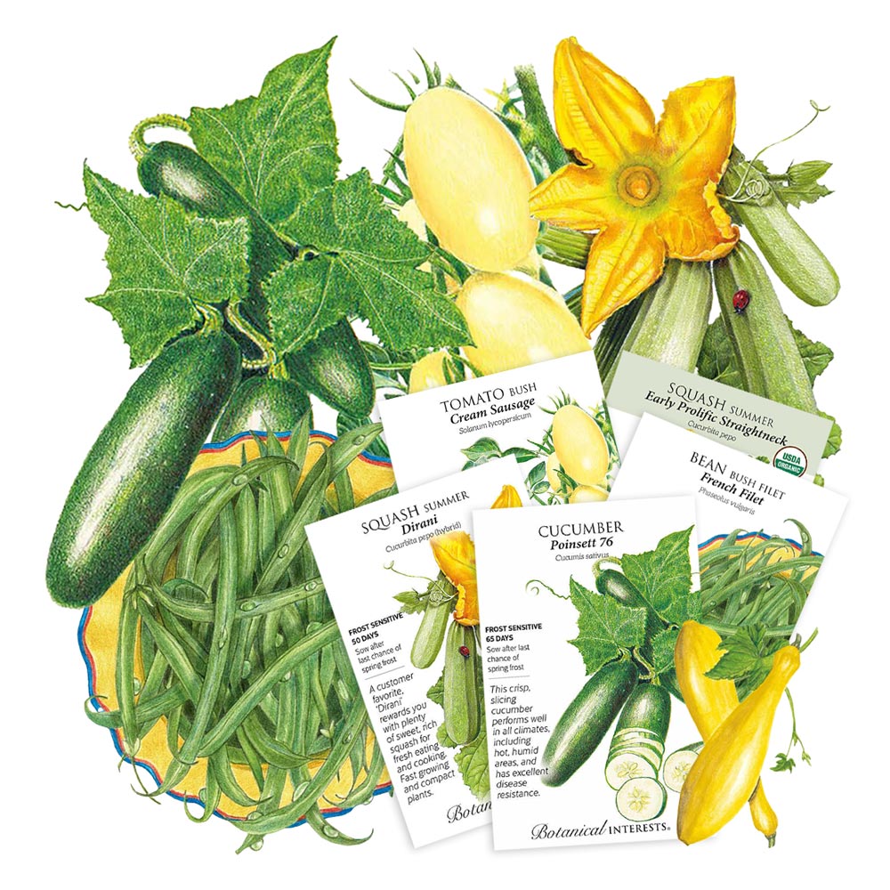 Illustration of various vegetables including cucumbers, beans, and squash with seed packets on a white background.
