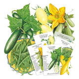 Illustration of various vegetables including cucumbers, beans, and squash with seed packets on a white background.