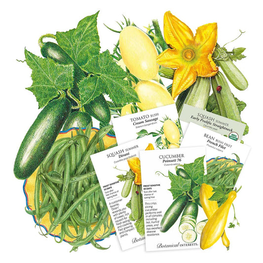 Illustration of various vegetables including cucumbers, beans, and squash with seed packets on a white background.