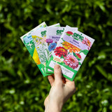 Buzz & Bloom (Level 1)