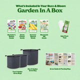 Buzz & Bloom (Level 1)