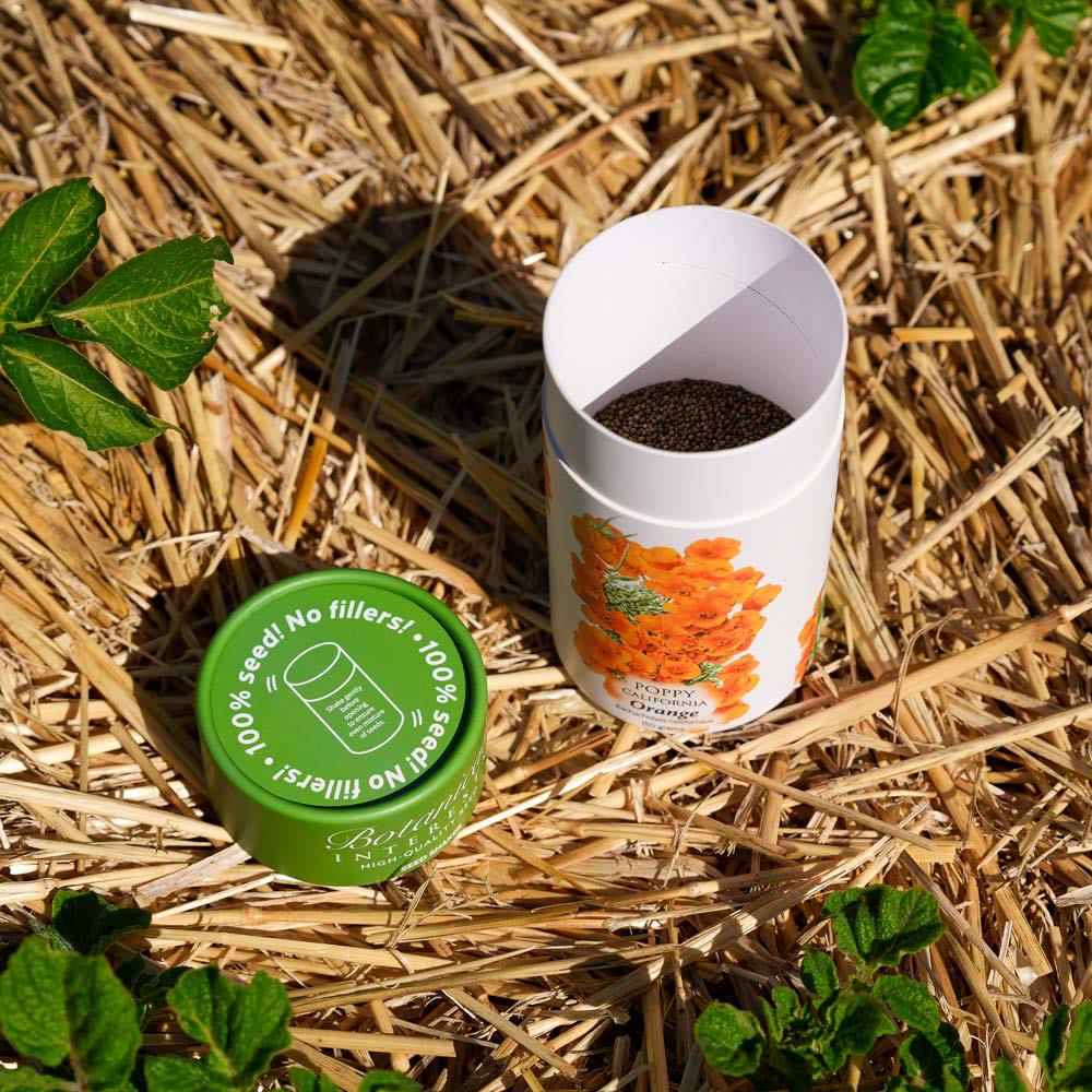 Opened Orange California Poppy Seed Shaker canister with a green lid on straw with plants around