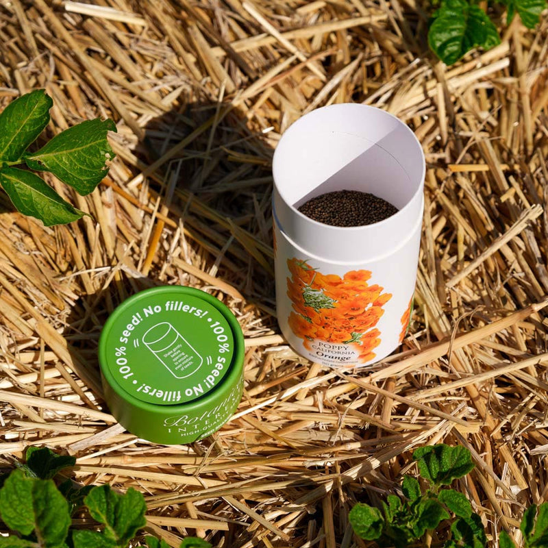 Opened Orange California Poppy Seed Shaker canister with a green lid on straw with plants around