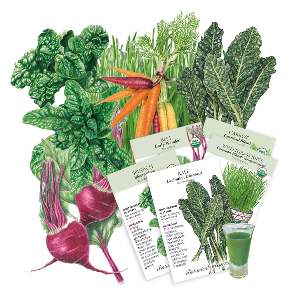 Illustration of various vegetables and seed packets with a glass of green juice on a white background