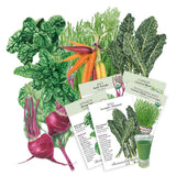 Illustration of various vegetables and seed packets with a glass of green juice on a white background