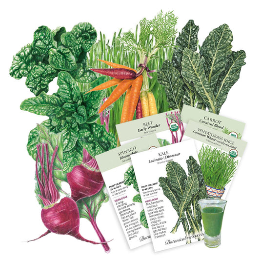 Illustration of various vegetables and seed packets with a glass of green juice on a white background