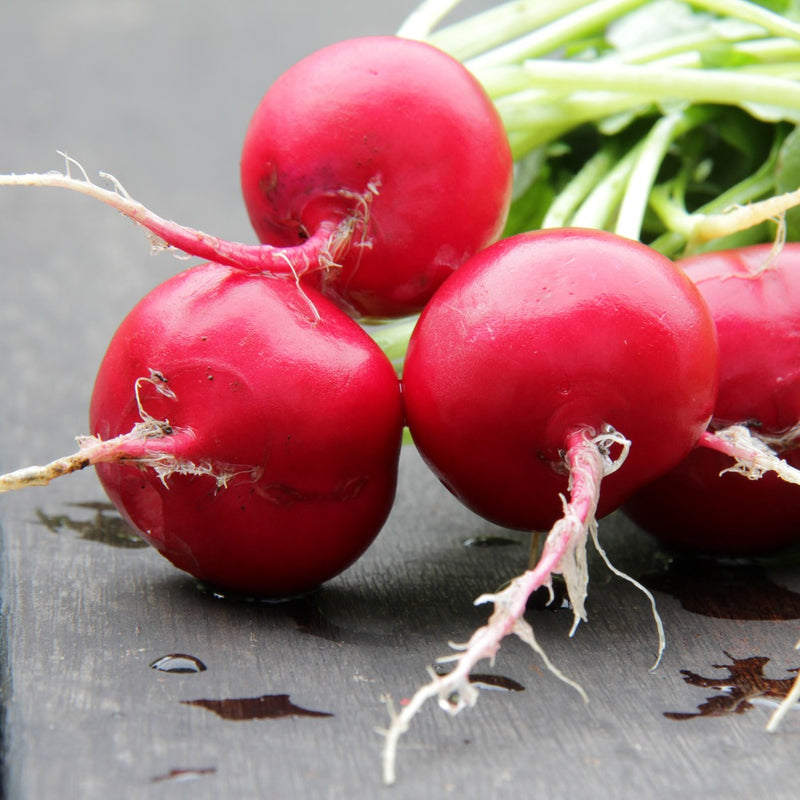 Freshly pulled round red radishes with pale fibrous roots and green leaf stems still attached, glistening with water droplets on a dark wooden surface.