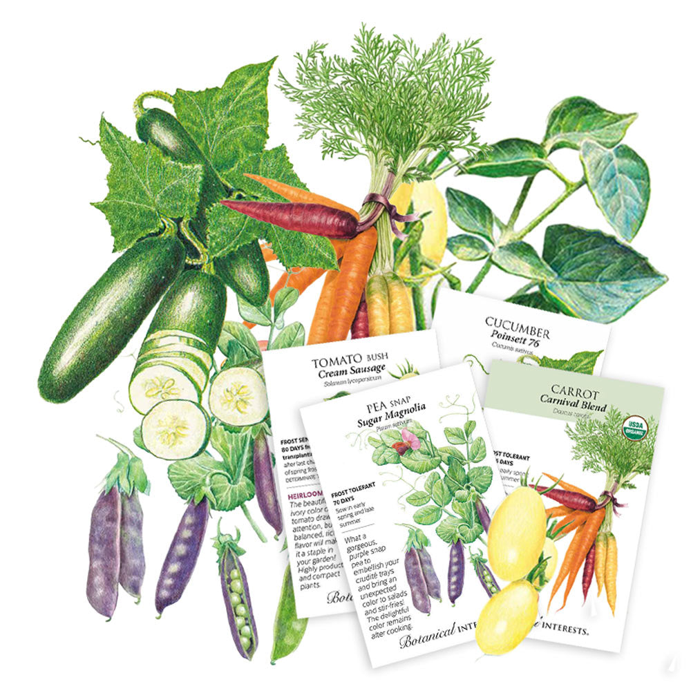 Illustration of various vegetables with seed packets below on a white background
