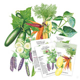 Illustration of various vegetables with seed packets below on a white background