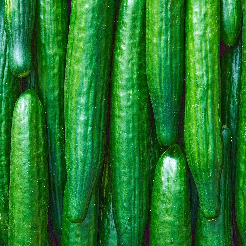 Close-up of long, slender Telegraph Improved cucumbers packed tightly side by side, their glossy dark green ridged skins catching the light.