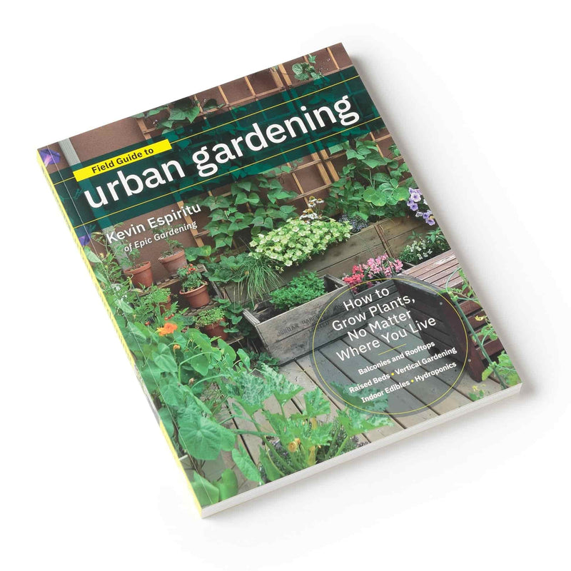 Paperback book titled 