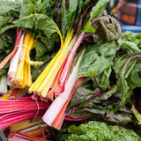 Freshly harvested rainbow chard bundled in bunches, showing crinkled dark green leaves with red veins alongside vividly colored stalks in yellow, pink, orange and white.