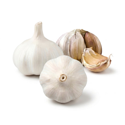 Elephant Hardneck, Romanian Red Hardneck, and German White Stiffneck Hardneck garlic bulbs on a white background