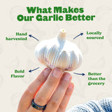 Inchelium Red Softneck Garlic - USDA Certified Organic