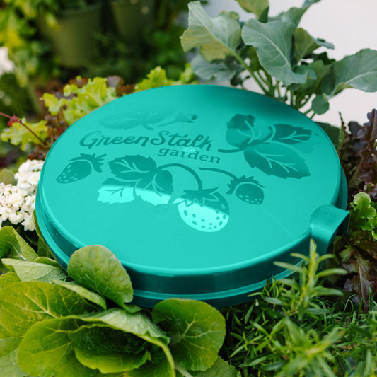 Teal green Vertical Planter Water Reservoir Lid with "GreenStalk garden" branding and strawberry graphics, resting atop a planter filled with leafy green vegetables and herbs.