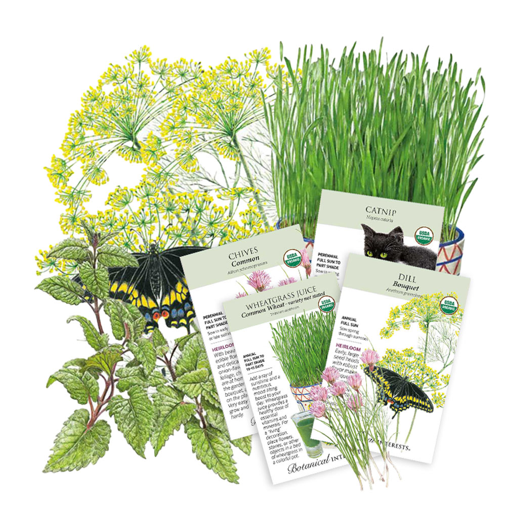Collection of seed packets with illustrations and text on a white background