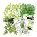 Collection of seed packets with illustrations and text on a white background
