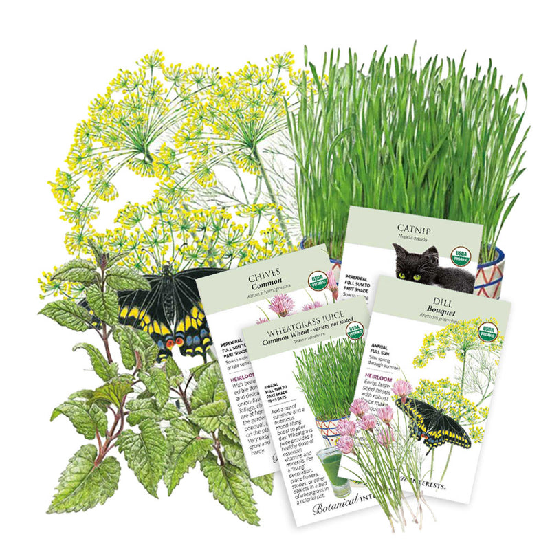 Collection of seed packets with illustrations and text on a white background