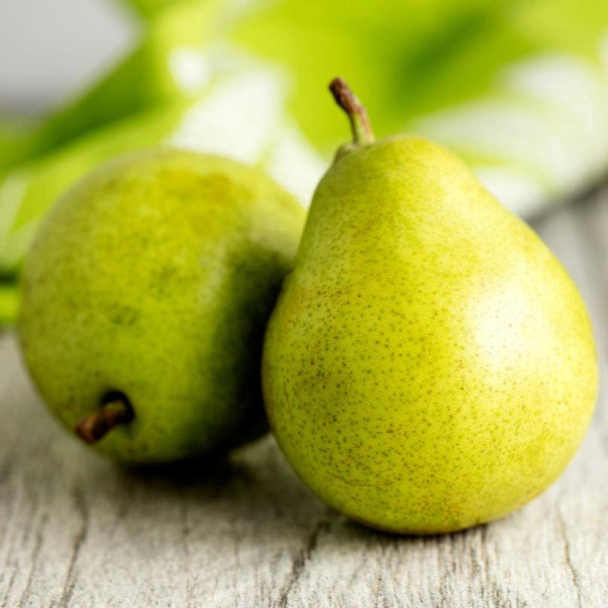 Two ripe D'Anjou pears with speckled yellow-green skin resting on a wooden surface, blurred green foliage visible in the background.