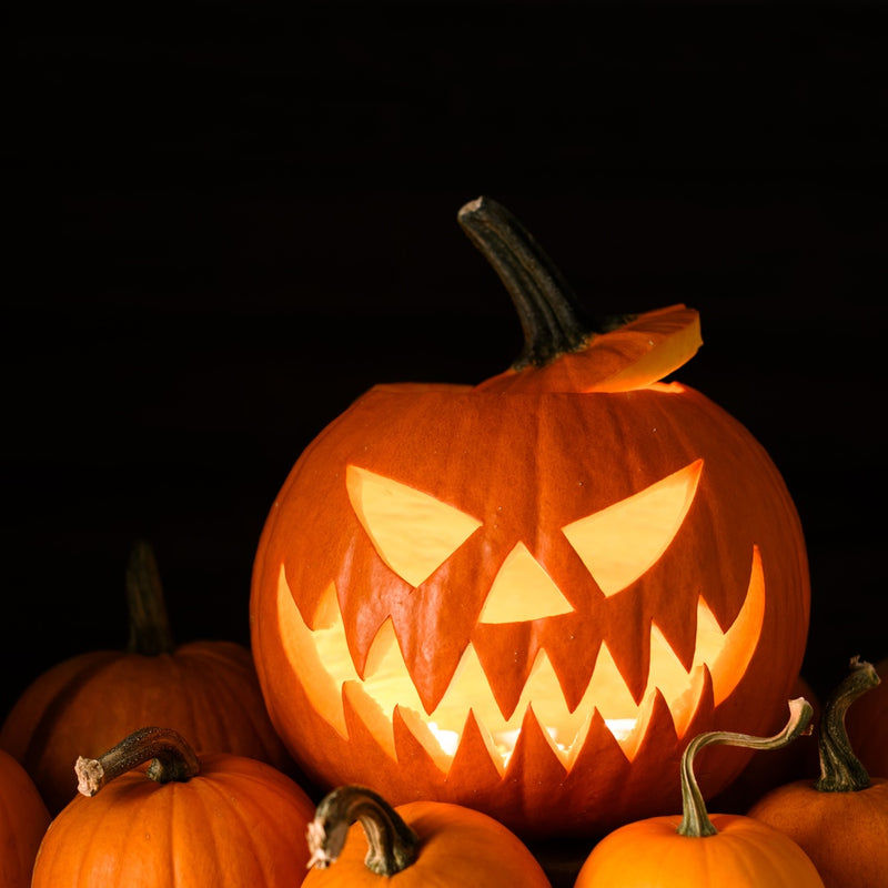Carved jack-o'-lantern pumpkin with a menacing toothy grin glowing from an internal candle, surrounded by smaller uncarved orange pumpkins against a black background.