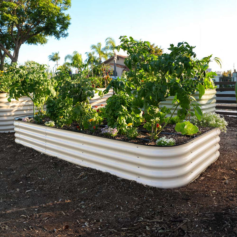 The 15-inch tall large light clay garden bed made of corrugated metal, filled with green leafy plants and small flowers, set in a backyard garden with mulch, trees, and a house in the background.