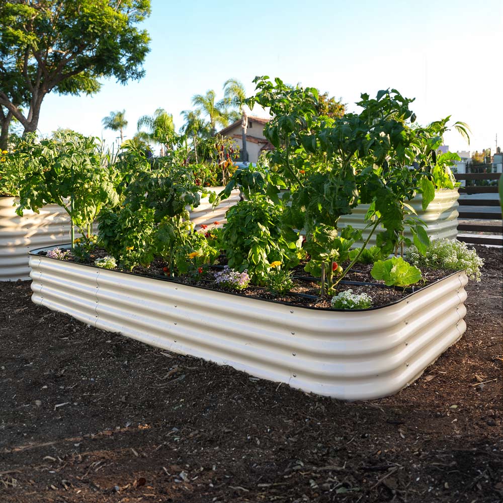 A light clay raised garden bed made of corrugated metal, filled with green leafy plants and small flowers, set in a backyard garden with mulch, trees, and a house in the background.