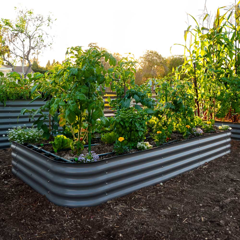 A slate gray metal raised garden bed filled with green plants and vegetables, shown in an outdoor garden setting with mulch and other garden beds in the background.
