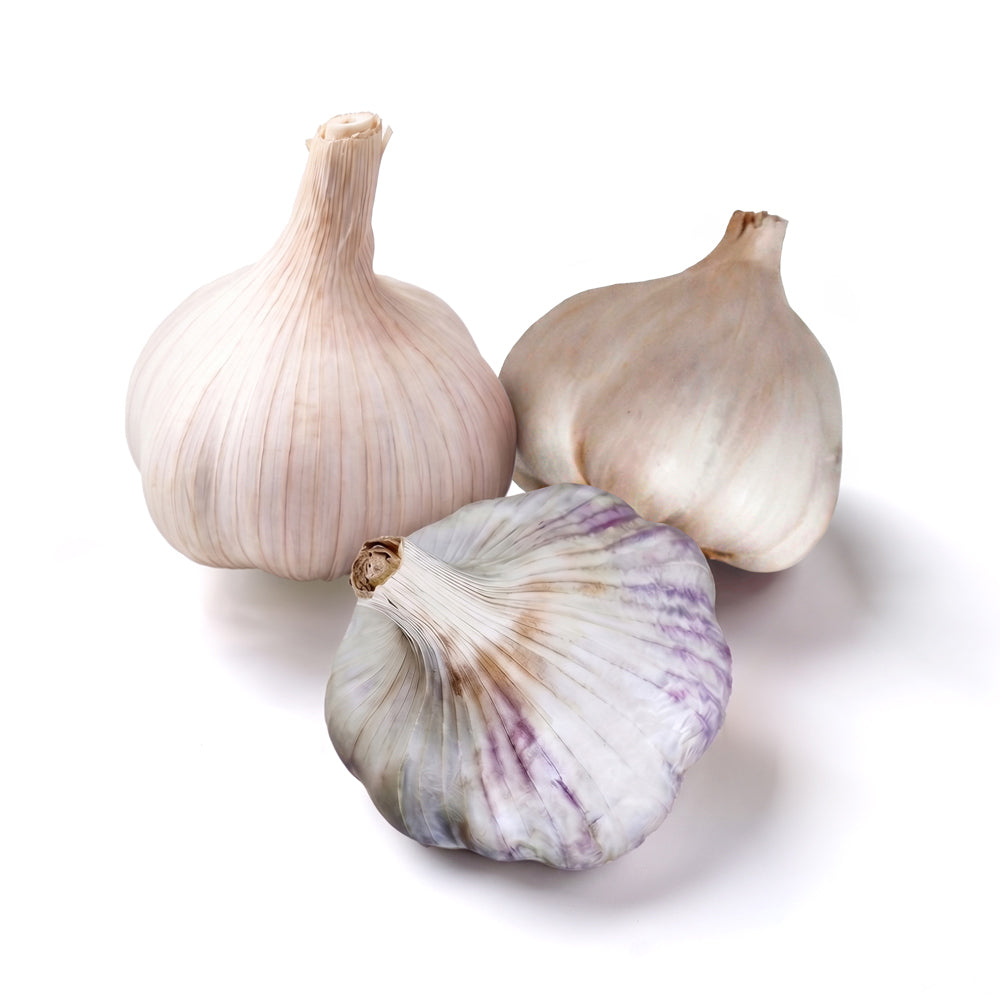Nootka Rose Softneck, Sicilian Artichoke Softneck, Inchelium Red Softneck garlic bulbs on a white background