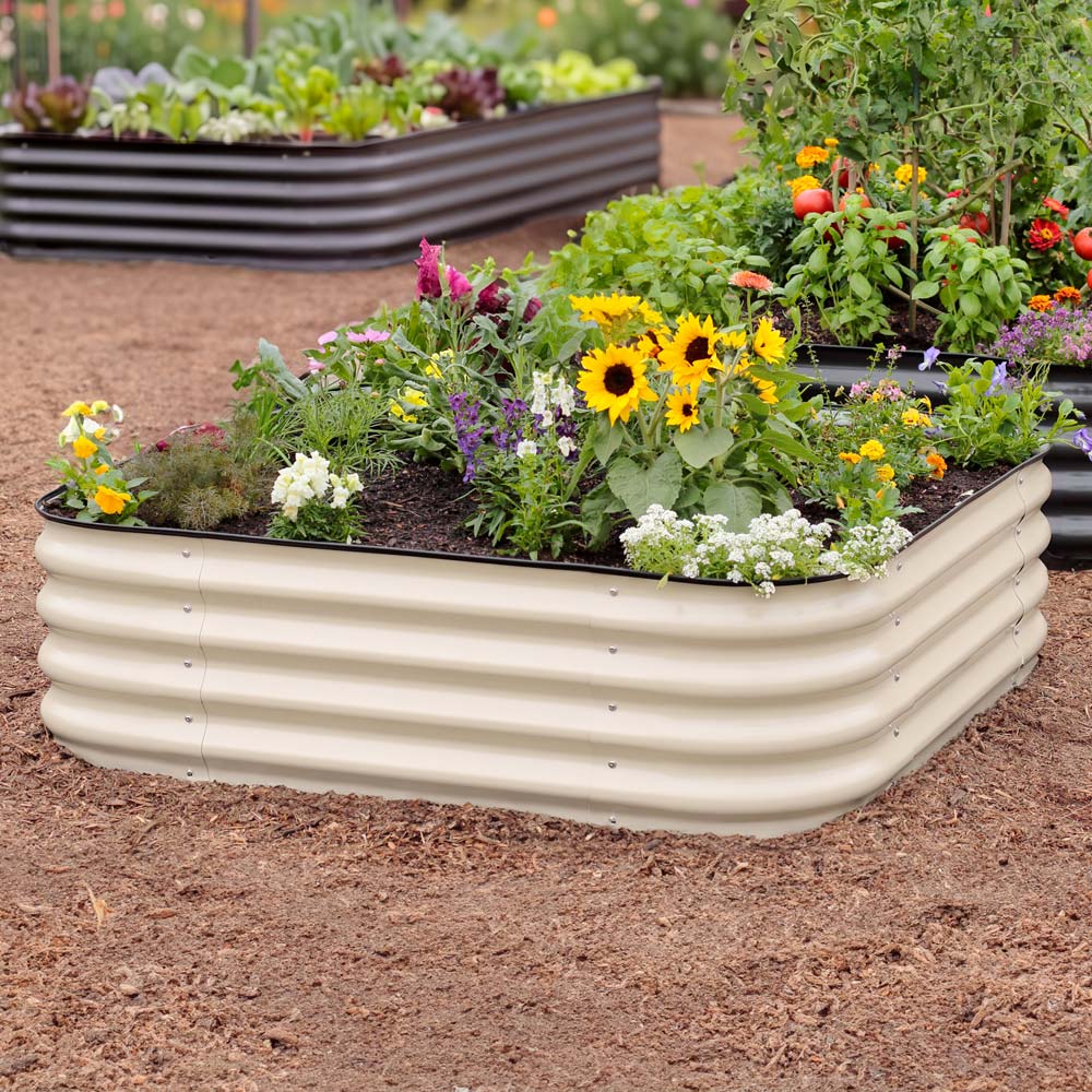 A corrugated raised garden bed filled with sunflowers, white flowers, and green foliage, shown in a garden setting on brown mulch with other garden beds in the background.