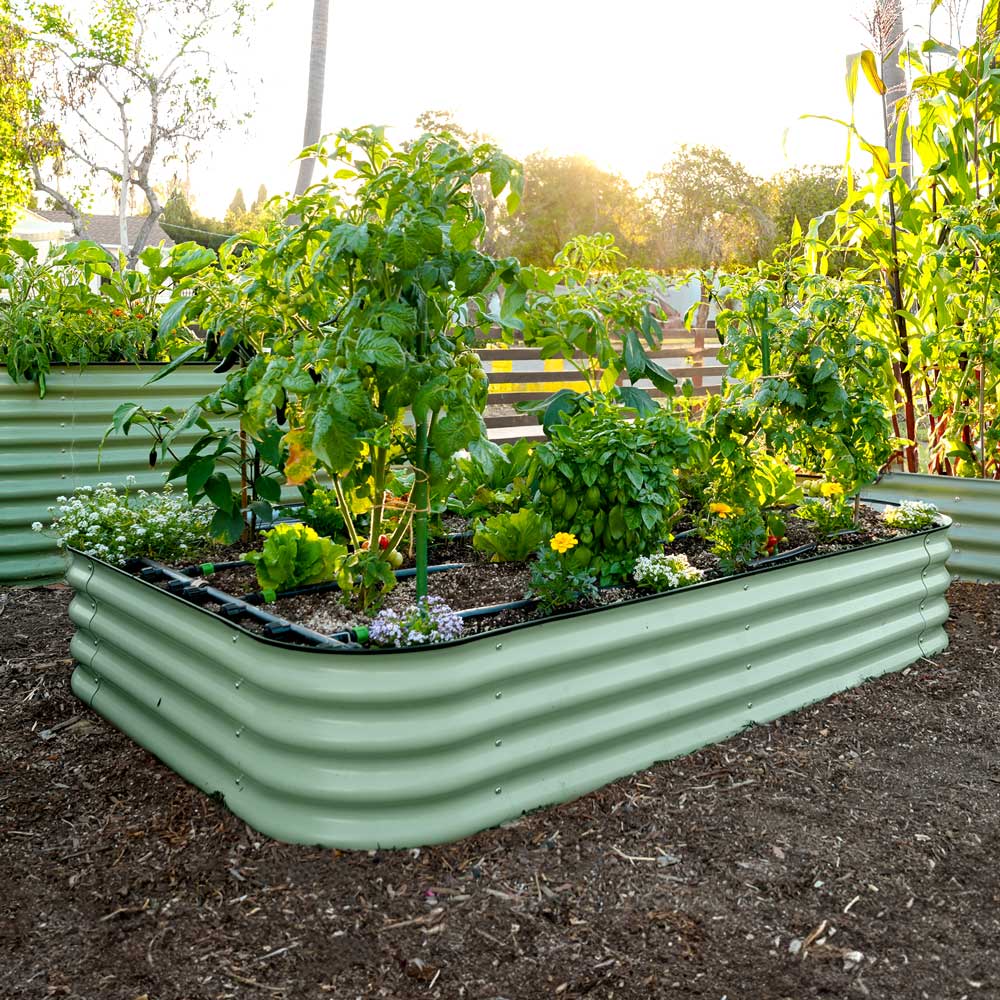 The 15-inch tall large raised garden bed made of corrugated metal in a mist green color, filled with various green plants and vegetables, set in a backyard garden with mulch and other garden beds in the background.