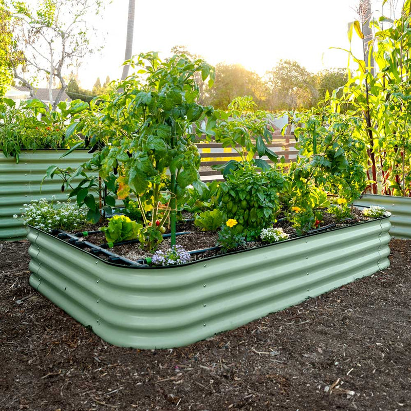 The 15-inch tall large raised garden bed made of corrugated metal in a mist green color, filled with various green plants and vegetables, set in a backyard garden with mulch and other garden beds in the background.