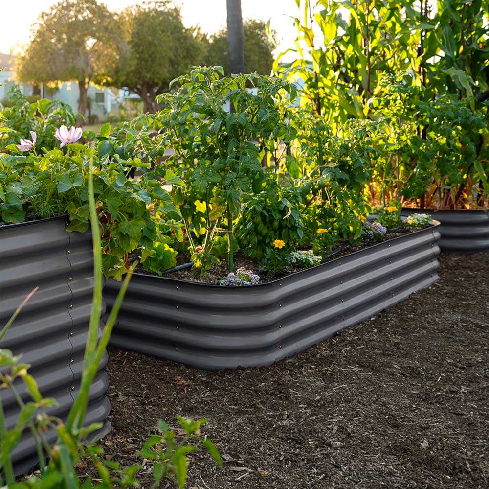 The 15-inch large slate gray corrugated metal raised garden beds filled with green plants and flowers, set in a backyard garden with mulch and other garden beds in the background.